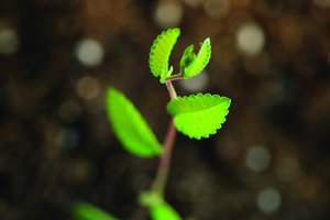 技术全方位解析